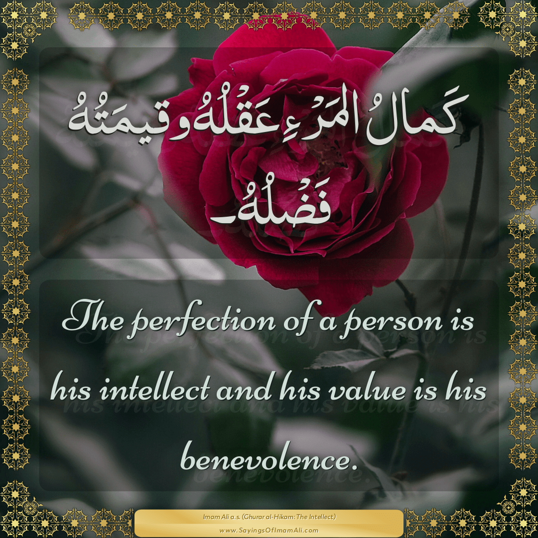 The perfection of a person is his intellect and his value is his...